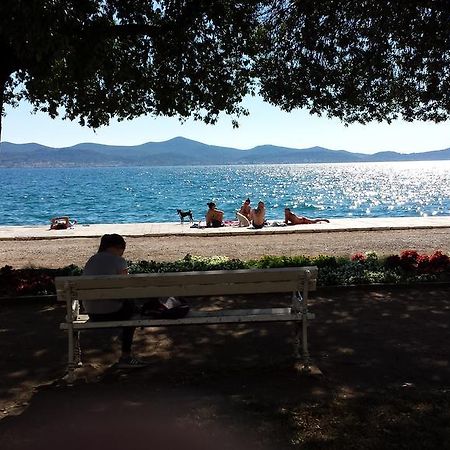 Little Cosy Apartment Zadar Dış mekan fotoğraf
